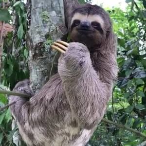 Meet your Posher, Nikki